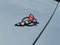 2002 Chevrolet Corvette Base