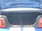 2007 Ford Mustang GT Deluxe