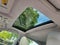 2017 Lexus ES 300h