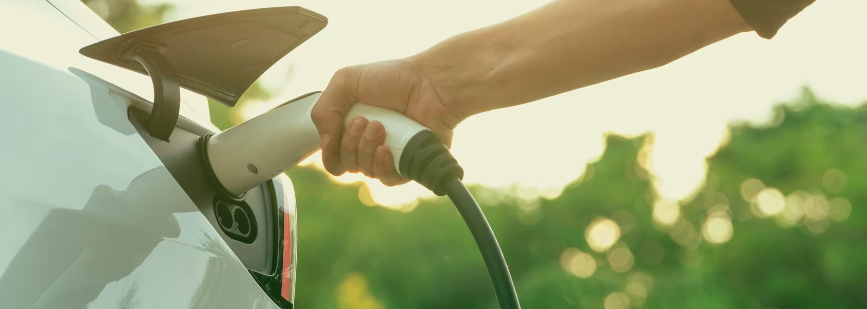 Hybrid Car Dealer Near Me